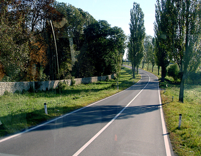 07DSC03498