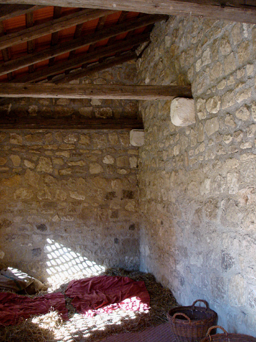 37jDSC03585