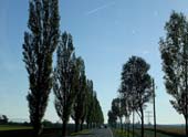 06DSC03489