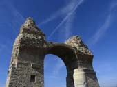 74n_MG_6610