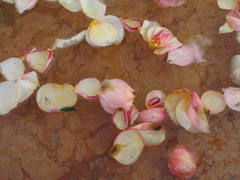 P5027923
