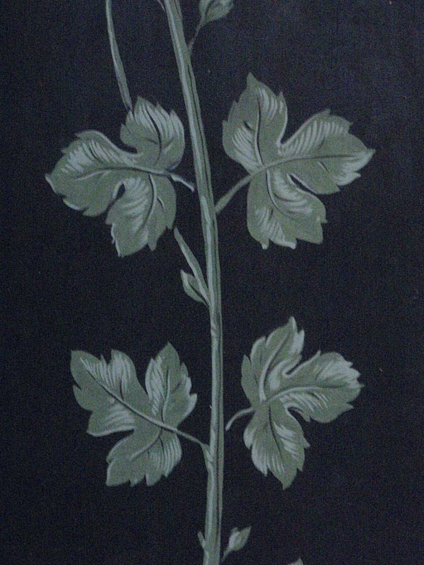 P5027944