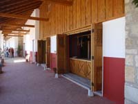 P5027916