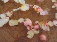 P5027923