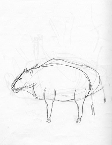 taurus1